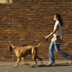 walking-dog-lady