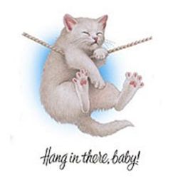 hang.in.there.baby