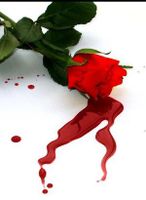 bleeding_rose_my_desktop__by_mandiscandi